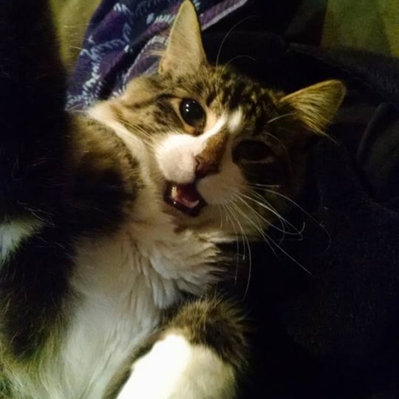 Meet your posher! I'm Hope, from Five To Thrifty! - Picture 5 of 5